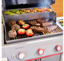 PARRILLA GAS GENESIS E-325 TITANIO WEB1502270