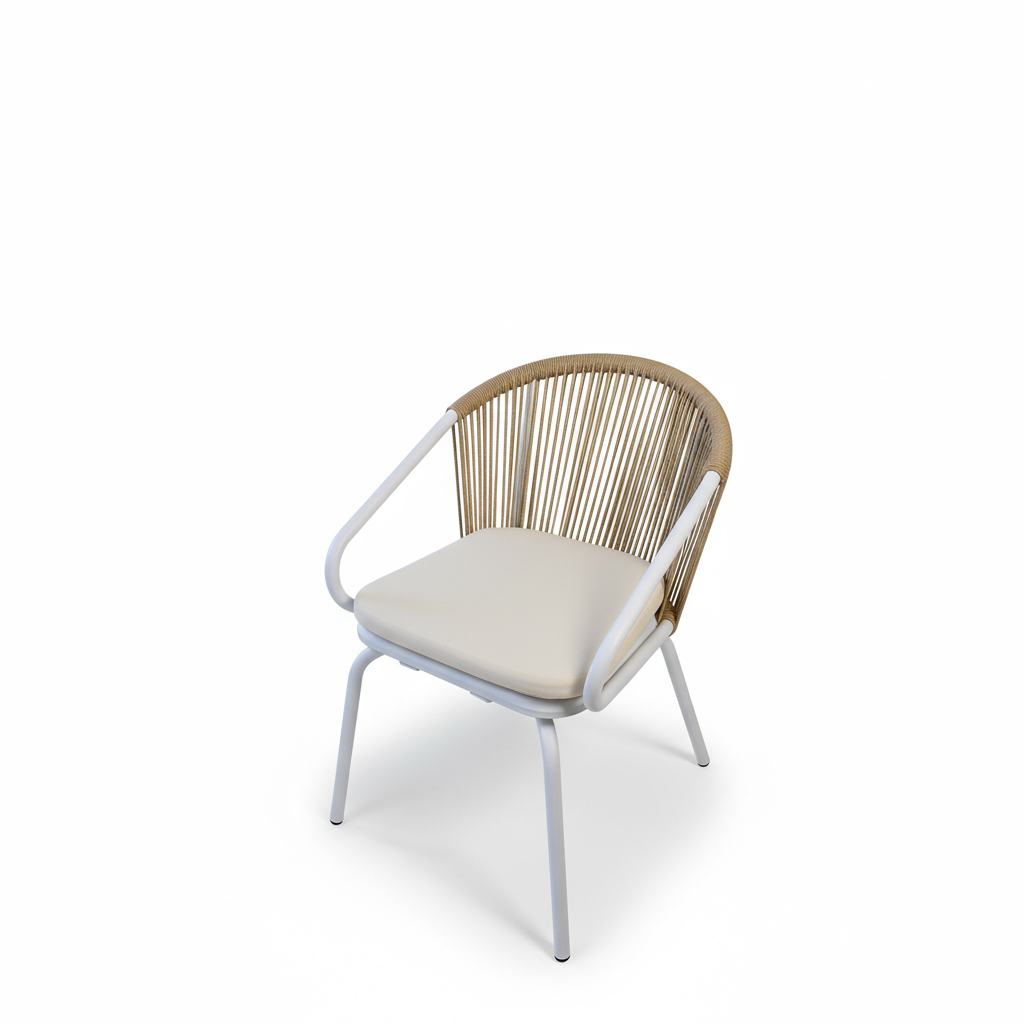 BL5336_a.webp