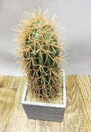 PLANTA DECO CACTUS WYUZFSNP-4 26 CM