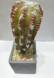 PLANTA DECO CACTUS 20X8X8 CM WYUYD17057C