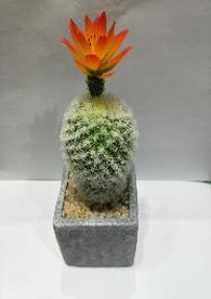 PLANTA DECO CACTUS WYUYD170989 21 CM