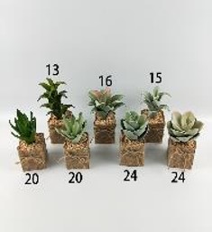 PLANTA DECO 17 CM WYUFMD-16