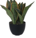 PLANTA AGAVE DECO 35X20X35 CM RON592-460027