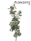 PLANTA EUCALIPTO DECO 90 CM 