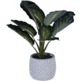 PLANTA EN MACETA DECO 30X30X36 CM RON592-143203