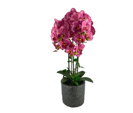 FIGURA ORQUIDEA DECO 72 CM RON592-470045