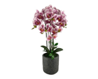 FIGURA ORQUIDEA DECO 72 CM RON592-470043