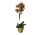 FIGURA ORQUIDEA DECO 11.5X50 CM RON456-55319