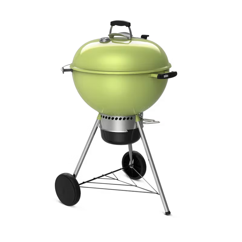 PARRILLA CARBON MASTER TOUCH 22 PUL VERDE WEB14511601