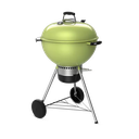 PARRILLA CARBON MASTER TOUCH 22" VERDE WEB14511601
