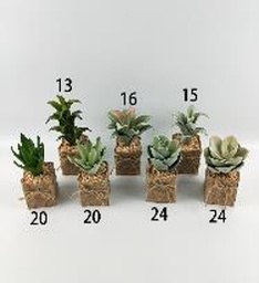 [WYUFMD-24] Planta decorativa pequeña 18 cm