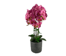 [RON592-470045] Orquídea artificial, 72cm. (Garantía 1 mes)