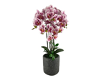 [RON592-470043] Orquídea artificial, 72cm. (Garantía 1 mes)