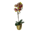 [RON456-55319] Orquídea artificial, 11.5X50cm. (Garantía: 1 mes)